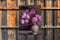 Customize-it - Pioenen vaas 50x70cm Tuinschilderij