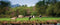 Customize-it - Polder 130x50cm Tuinschilderij