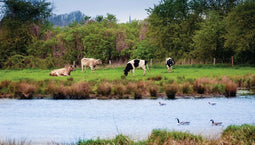 Customize-it - Polder 130x70cm Tuinschilderij