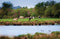 Customize-it - Polder 140x90cm Tuindoek