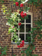 Customize-it - Raam bloemen 50x70cm Tuinschilderij