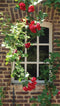 Customize-it - Raam bloemen 70x130cm Tuinschilderij