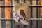 Customize-it - Roodborst berk 50x70cm Tuinschilderij