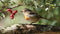 Customize-it - Roodborst bes 130x70cm Tuinschilderij
