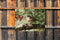 Customize-it - Roodborst bes 70x50cm Tuinschilderij