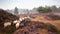 Customize-it - Schapen op heide 130x70cm Tuinschilderij