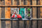Customize-it - Scooter rood 130x70cm Tuinschilderij