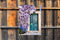 Customize-it - Seringen 50x70cm Tuinschilderij