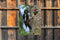 Customize-it - Spechten 50x70cm Tuinschilderij