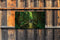 Customize-it - Sprookje 130x70cm Tuinschilderij