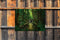 Customize-it - Sprookje 70x50cm Tuinschilderij