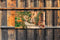 Customize-it - Steeg katten 130x70cm Tuinschilderij