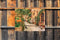 Customize-it - Steeg katten 70x50cm Tuinschilderij