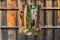 Customize-it - Steeg potten 50x70cm Tuinschilderij