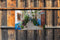 Customize-it - Straat Marokko 140x90cm Tuindoek