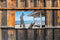 Customize-it - Strand Bali 130x70cm Tuinschilderij