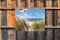 Customize-it - Strand duinen 70x50cm Tuinschilderij