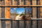 Customize-it - Strand idylle 130x70cm Tuinschilderij