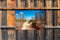 Customize-it - Strand idylle 140x90cm Tuindoek