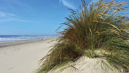 Customize-it - Strand met grasduin 130x70cm Tuinschilderij