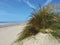 Customize-it - Strand met grasduin 70x50cm Tuinschilderij