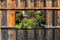Customize-it - Theehuis 130x70cm Tuinschilderij