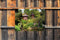 Customize-it - Theehuis 70x50cm Tuinschilderij