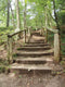 Customize-it - Trap Bos 50x70cm Tuinschilderij