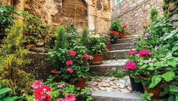 Customize-it - Trap met geraniums 130x70cm Tuinschilderij