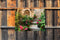 Customize-it - Trap met geraniums 70x50cm Tuinschilderij