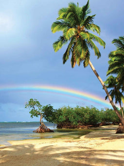 Customize-it - Tropen regenboog 50x70cm Tuinschilderij