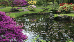 Customize-it - Tuin vijver 130x70cm Tuinschilderij