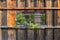 Customize-it - Tuinschuur 130x70cm Tuinschilderij