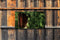 Customize-it - Verborgen deur 130x70cm Tuinschilderij