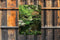 Customize-it - Vijver 50x70cm Tuinschilderij