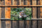 Customize-it - Vink mannetje 130x70cm Tuinschilderij