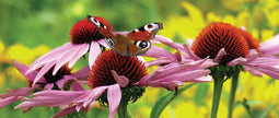 Customize-it - Vlinder bloem 130x50cm Tuinschilderij