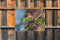 Customize-it - Vogel blad 70x50cm Tuinschilderij