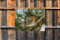 Customize-it - Vogel rood 70x50cm Tuinschilderij