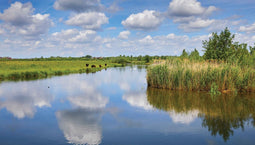 Customize-it - Water wolk 130x70cm Tuinschilderij