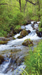 Customize-it - Waterbeek 70x130cm Tuinschilderij
