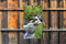 Customize-it - Waterbeek 70x130cm Tuinschilderij