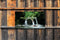 Customize-it - Waterval groen 130x70cm Tuinschilderij