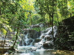 Customize-it - Waterval tredes 70x50cm Tuinschilderij