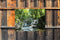 Customize-it - Waterval tredes 70x50cm Tuinschilderij