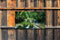 Customize-it - Watervalletjes 130x70cm Tuinschilderij