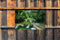 Customize-it - Watervalletjes 140x90cm Tuindoek