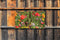 Customize-it - Wilde bloemen 130x70cm Tuinschilderij