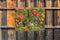 Customize-it - Wilde bloemen 70x50cm Tuinschilderij
