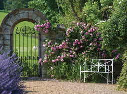Customize-it - Witte bank 70x50cm Tuinschilderij